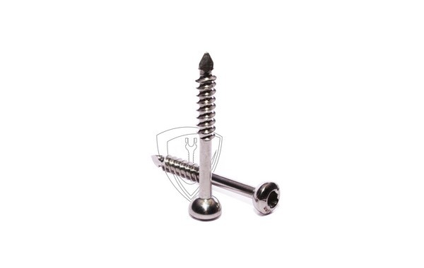 Malleolar Screw 