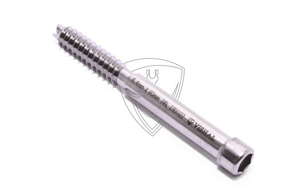 Leg Screw For P.F.N Nail 