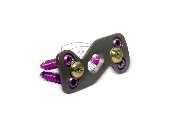 Titanium Cervical Spine Plate 