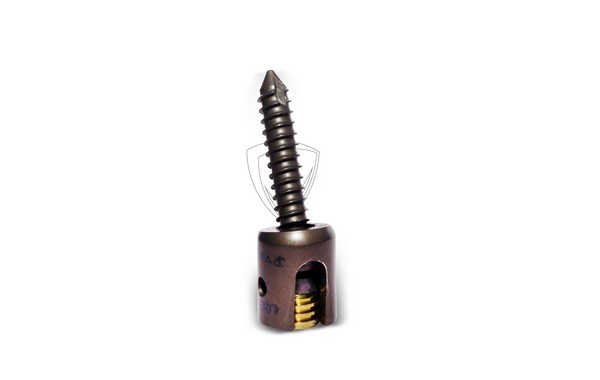 Titanium Lateral Mass Poly Screw 